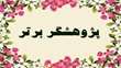 معرفی پژوهشگران برتر دانشکده اقتصاد، مدیریت و علوم اداری 